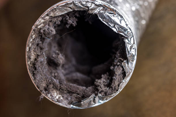 Reliable St Pete Beach, FL Airduct Cleaning Solutions